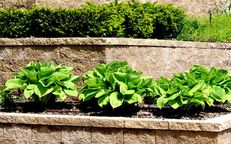 Lightning Landscape - NH Best Commercial Hardscape & Masonry Experts